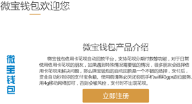 微宝钱包APP：又一个聚合支付平台