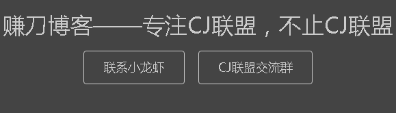 赚刀博客：做一个垂直网站有前途吗，专注CJ的网站