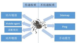 你不知道这些搜索引擎蜘蛛有何性格