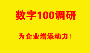 数字100在线市场调查公司