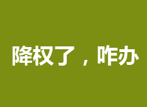 怎么知道网站被降权了