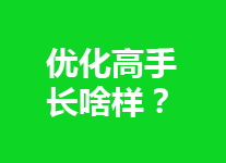 行业内优化高手会有一些啥本事