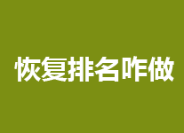 <b>等待百度恢复排名需要1-2个月</b>