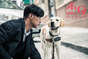 电影《小Q》：香港版人与狗的温情故事