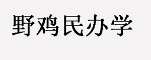 野鸡,学校,民办学校