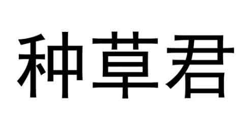 种草营销公司靠谱吗？三个业务打破你的思维