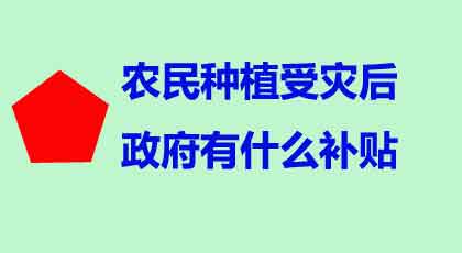 农民瓜田受水害，能拿到多少补贴？