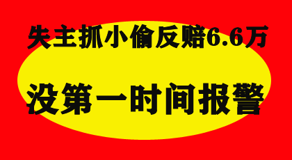 抓小偷反要赔6.6万呢，失主做了什么摊上这事