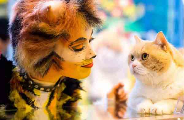 电影《猫》：有个舞台讲自己的故事，意义才是人生乐事