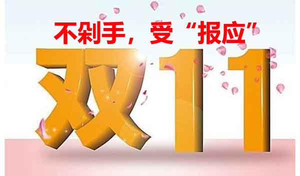 淘宝赚钱,双11不剁手,报应